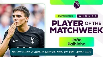 بالينيا المتألق.. تفوق نادر يضعه نجم الدوري الإنجليزي في الصدارة العالمية